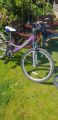 Picture of Saracen Girls Mountain Bike