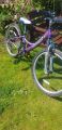 Picture of Saracen Girls Mountain Bike