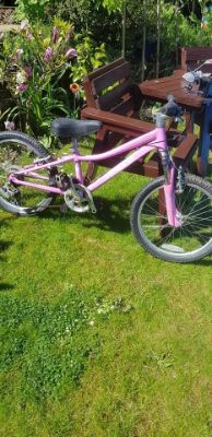 Picture of Hotrock Specialized Girls Bike