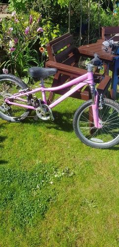 Picture of Hotrock Specialized Girls Bike