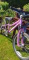 Picture of Hotrock Specialized Girls Bike