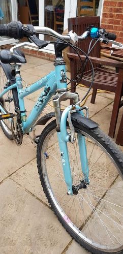 Picture of Light Blue Ladies/Girls Bike