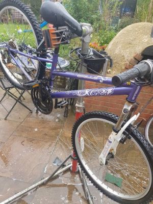 Picture of Girls Purple Mountain Bike